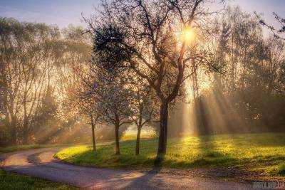 Первый день апреля будет преимущественно солнечным