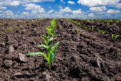 В.Гройсман: законопроект о рынке земли позволит ее куплю-продажу только украинцам