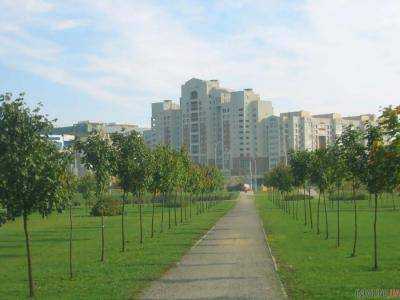 Аллею дубов высадили в память о военных в Кропивницком