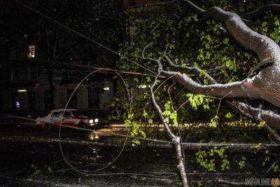 В Украине из-за непогоды обесточены 152 населенных пункта