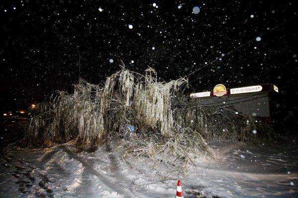 В Днепре бушует непогода