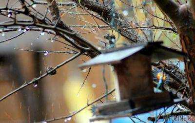 9 мая в Украине ожидается похолодание