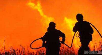 В Украине предупредили о пожарной опасности