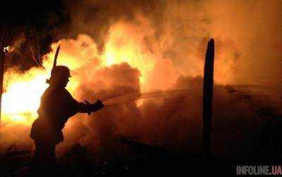 С начала года на пожарах в Украине погибли 801 человек