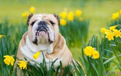 Завтра в Украине погода без осадков