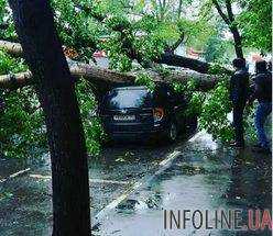 Число жертв урагана в Москве возросло до 11 человек