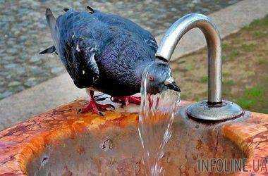 В Украине первые дни лета будут солнечными - синоптики