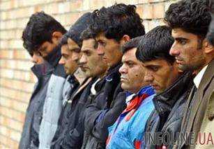 Мигрантов из Индии, Бангладеша и Коморских островов задержали на границе