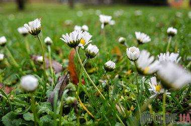 В Украине сегодня будет тепло и сухо