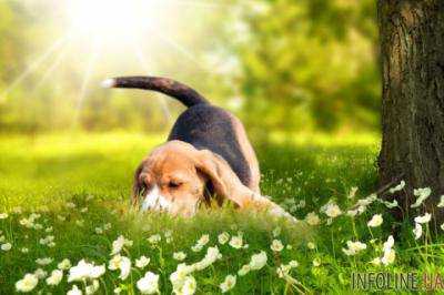 В Украине ожидается переменная облачность