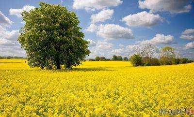 В Украине ожидается переменная облачность