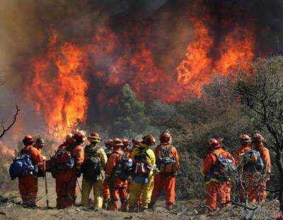 Число пострадавших от лесных пожаров в Португалии выросла до 135 человек
