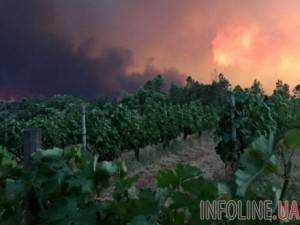 В Португалии бушует пожар: число жертв выросло до 64 человек