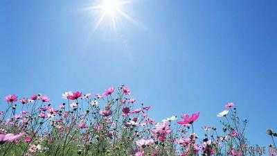 В Украине сегодня ожидается сухая солнечная погода