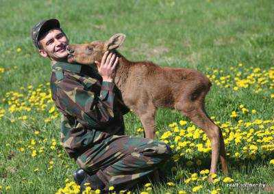 Волынские лесники спасли лосенка