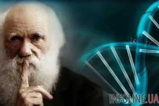 В турецких школах прекратят преподавать теорию Дарвина