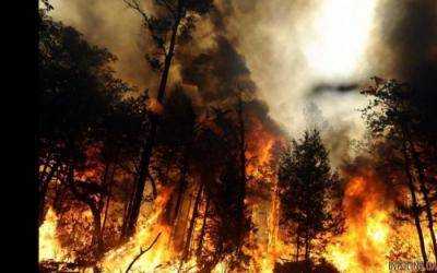 Километры огня: в России объявили чрезвычайное положение