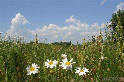 5 июля в Украине ожидается умеренно теплая погода