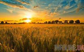 Украина увеличила экспорт агропродукции на 1,7 млрд долларов