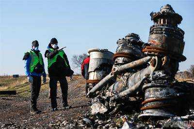 Адвокат жертв MH17 призвал Путина искупить вину