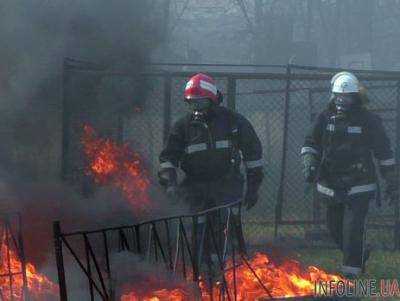 Вблизи Киева горел склад древесины, погибших и травмированных нет