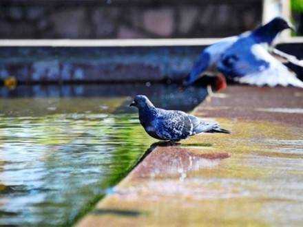Дожди на западе и жара до +32°: прогноз погоды на сегодня