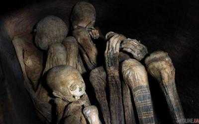 Находка в стене дома поставила на уши соцсети