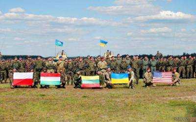 Полторак сделал откровенное признание