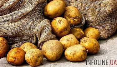 Мексика запретила импорт американского картофеля