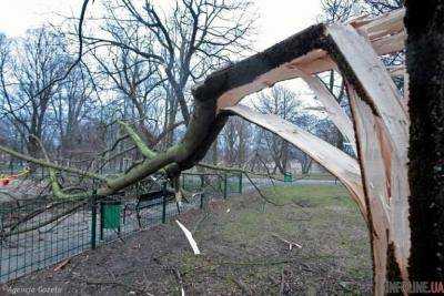 Летающие бочки и рухнувший кран: непогода натворила бед в Николаеве