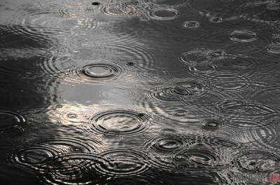 Сегодня на западе Украины грозовые дожди