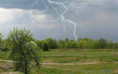 Сегодня по всей территории Украины дожди, местами грозы