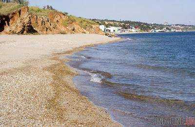 Жуткое зрелище: побережье под Одессой завалено скелетами. Фото