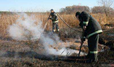 Уже пять дней не могут потушить торфяники в Черкасской области