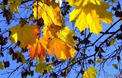 Сегодня в Украине ожидается прохладная и ясная погода