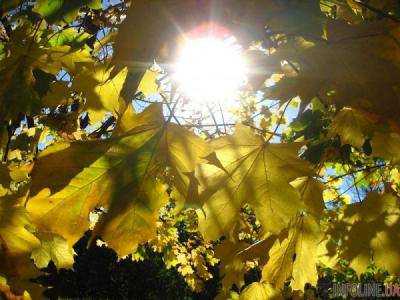 Сегодня в Украине ожидается прохладная и ясная погода