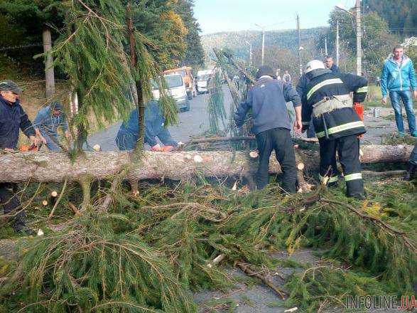 Непогода в Украине обесточила 195 населенных пунктов