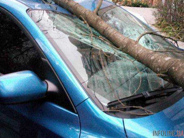 По Львовской области прокатился ураган