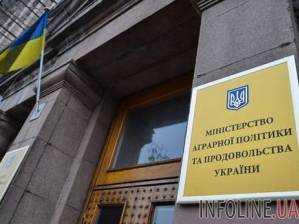 Аграрии уже намолотили 170 тыс. тонн гречки