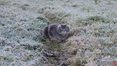 На выходных ударит мороз, а следующая неделя удивит еще больше