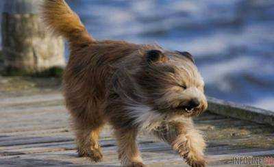 В Украине объявили штормовое предупреждение