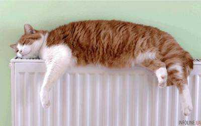 В связи с потеплением во Львове приостановили отопительный сезон