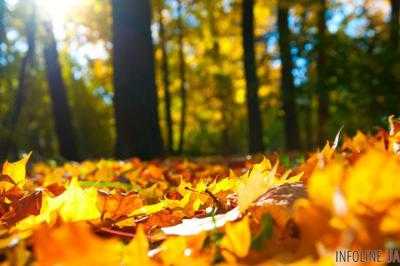 Надвигается мощный антициклон: в Украине резко изменится погода