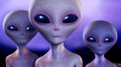 Сенсация! Председатель пришельца обнаружили на Марсе