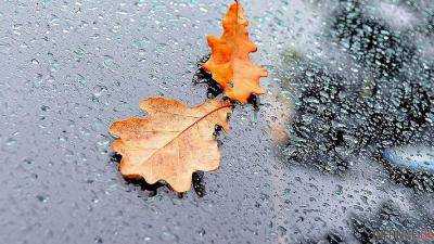 Сегодня на большей части территории Украины ожидается мокрый снег и дождь