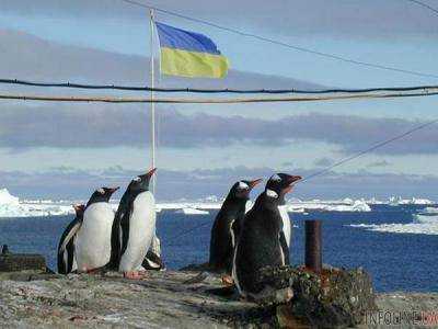 В Киеве покажут короткометражки об исследованиях в Антарктике