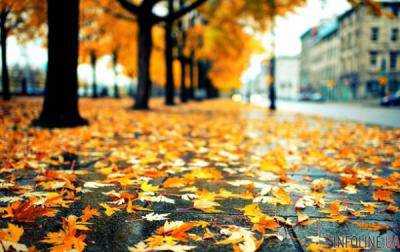 Сегодня в Украине тепло и незначительные дожди