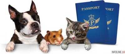 Новый закон о домашних животных: оштрафуют на 20 тыс. гривен. Что надо знать владельцам