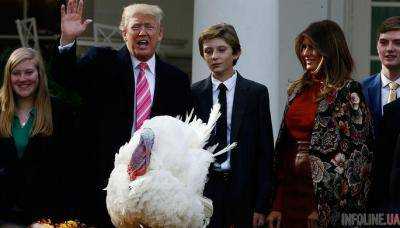 Трамп помиловал свою первую индейку