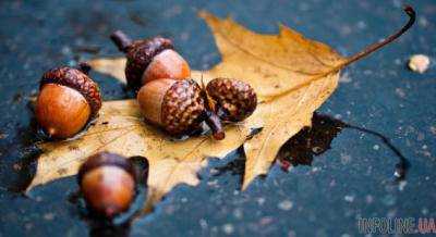 В Украине преимущественно без существенных осадков